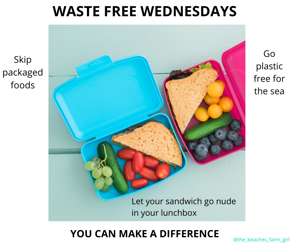 How to Make Waste Free Lunch Boxes