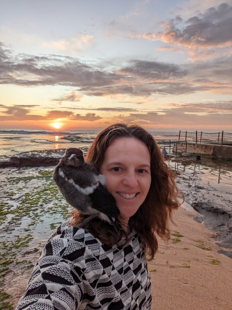 Wednesday the baby magpie at the beach