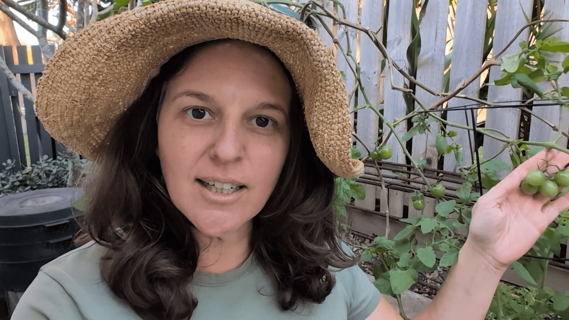 What’s Growing in My New Temperate Winter Vegetable Garden