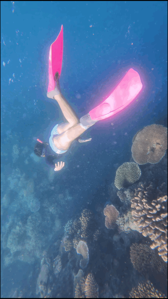 11 year old snorkeling the outer reef off Castaway Island Fiji