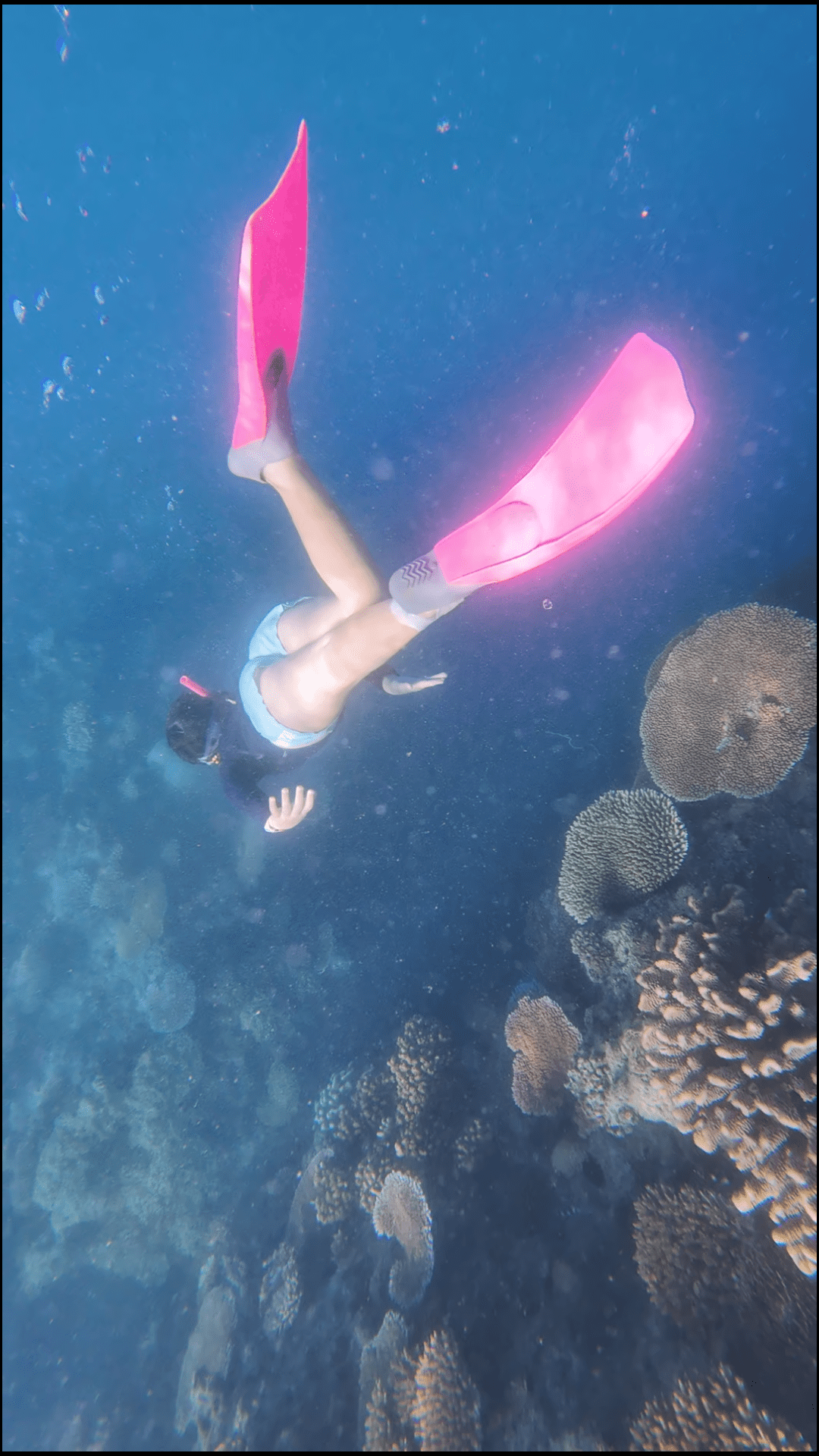 🌴 Castaway Island Resort Fiji is The Best Family Holiday
